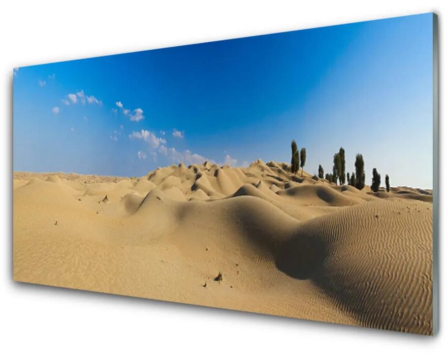 Glas schilderij Landschap van de woestijn van het zand 100x50 cm