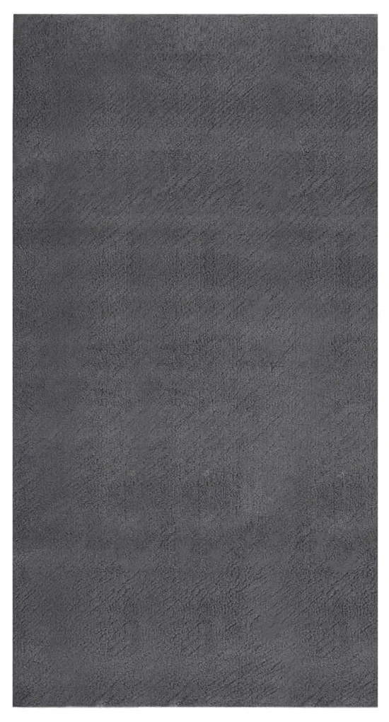 vidaXL Vloerkleed wasbaar zacht shaggy anti-slip 80x150 cm antraciet