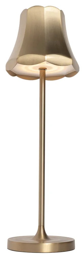 Set van 2 retro tafellampen rose goud oplaadbaar IP44 - Granny