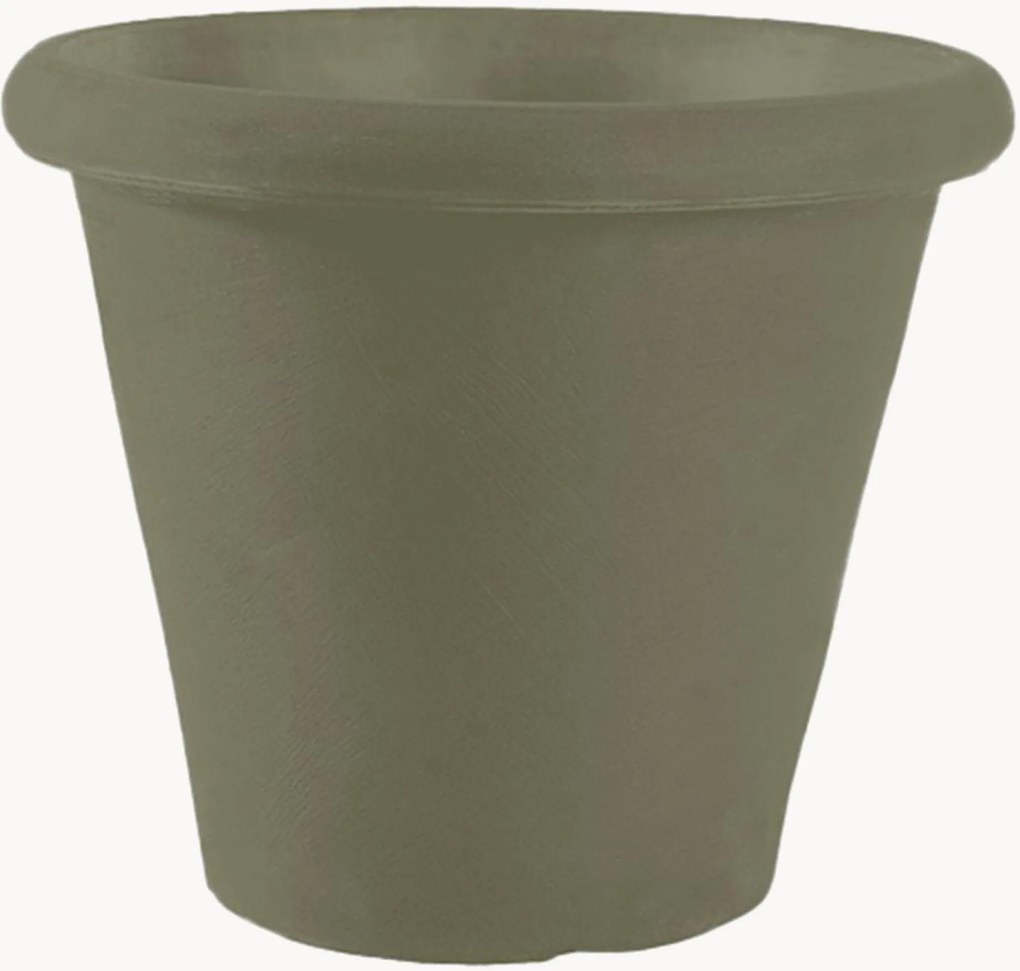 Plantenpot Camelia
