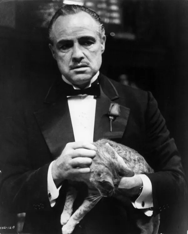 Foto Marlon Brando In 'The Godfather', Archive Photos