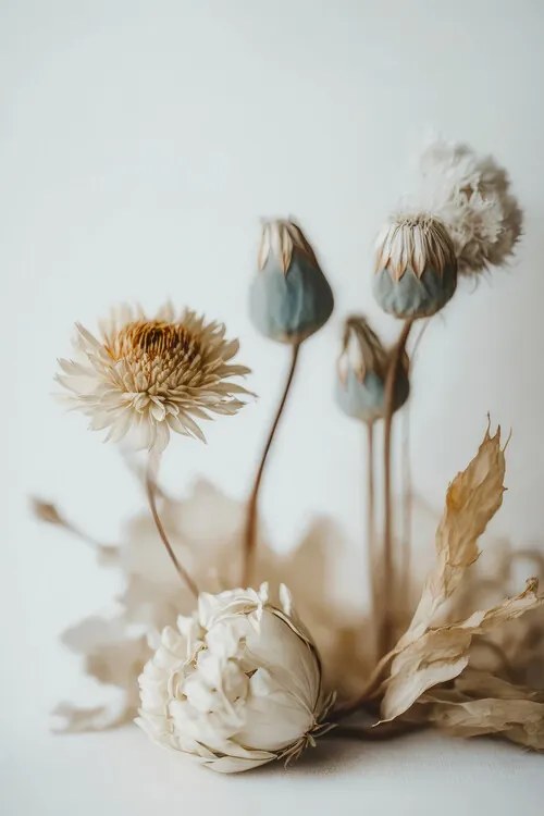 Foto Dry Flower Impression, Treechild