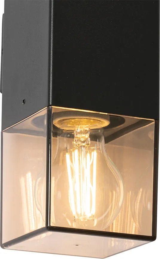 Buiten wandlamp zwart met smoke kap 2-lichts IP44 - Denmark
