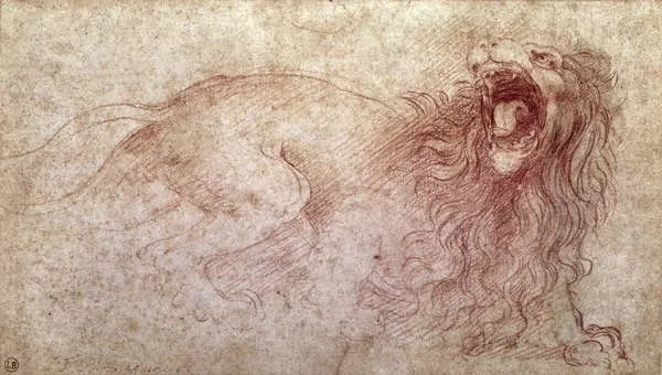 Kunstreproductie Sketch of a roaring lion, Leonardo da Vinci