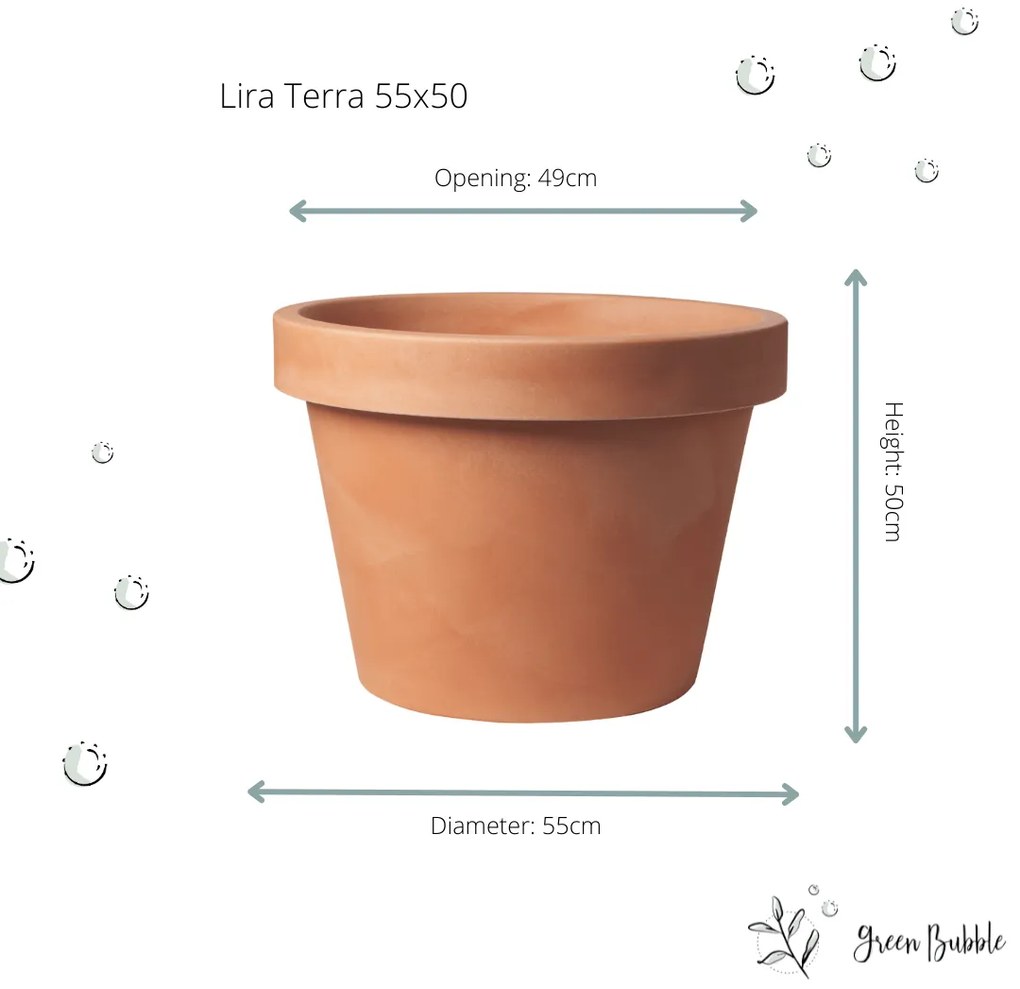 Lira Terra