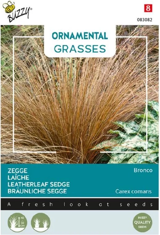Buzzy seeds - bloemzaden - Ornamental Grasses 'Carex comans Bronco'