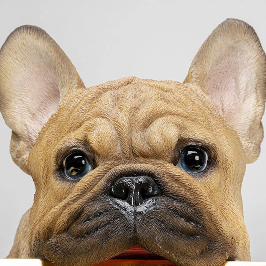 Franse Bulldog Met Dienblad