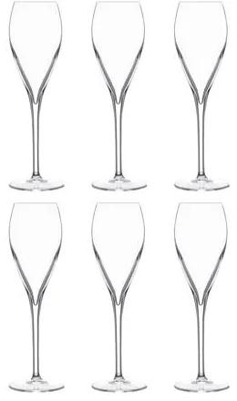 Atelier champagneglas (Ø6,7 cm) (set van 6)