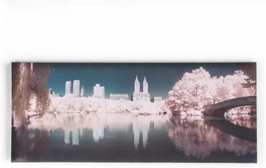 Graham & Brown canvas Central Park - roze - 100x40 cm - Leen Bakker