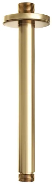 Brauer Gold Edition Plafondarm - 20cm - PVD - geborsteld goud 5-GG-015