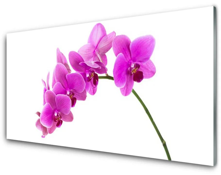 Foto schilderij op glas Orchidee bloem orchidee 100x50 cm
