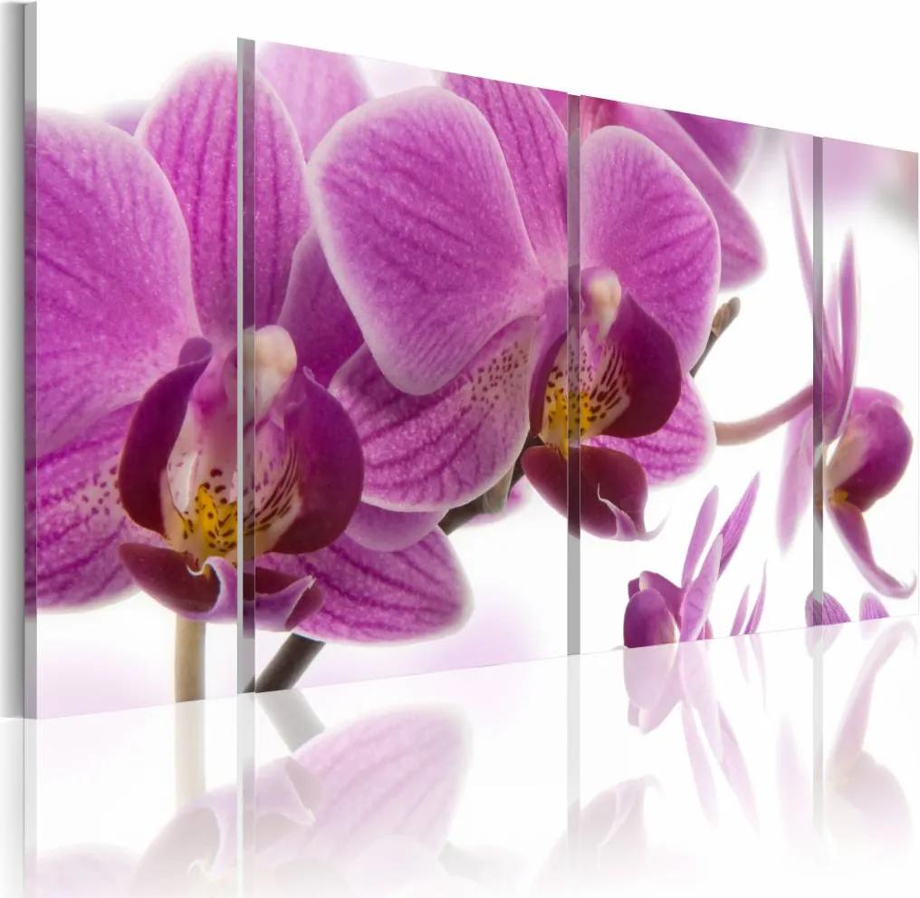 Schilderij - Geweldige Orchidee , paars wit , 4 luik
