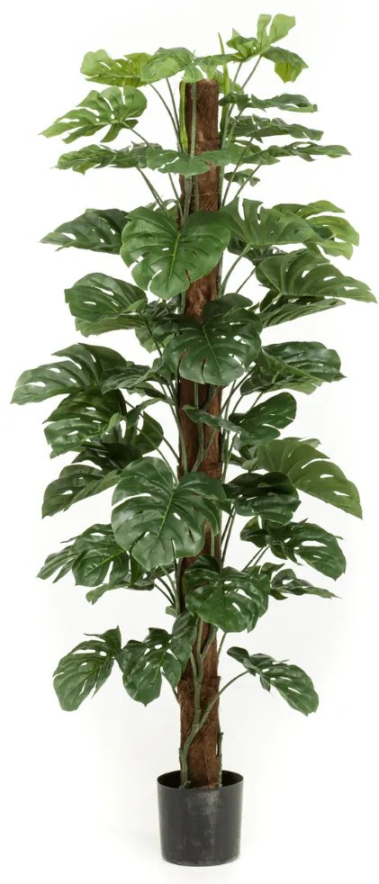 Monstera Deliciosa kunstplant - 180 cm