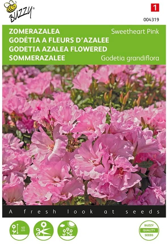 Buzzy seeds Zomer Azalea zaden - Salmon Princess