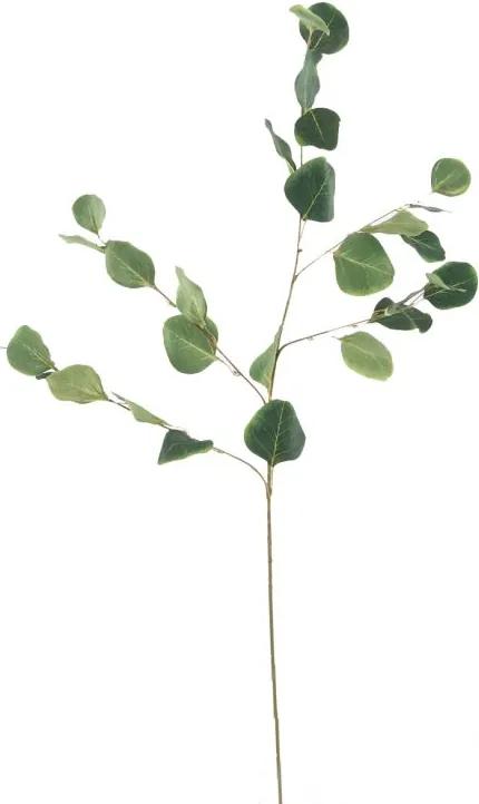 Eucalyptus Donkergroen 85 cm