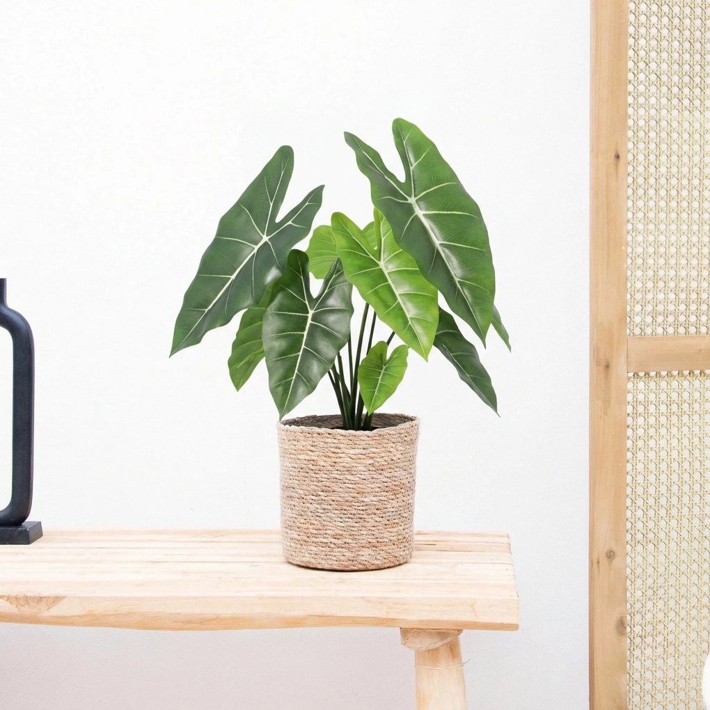 Kunst Alocasia Polly - 40cm