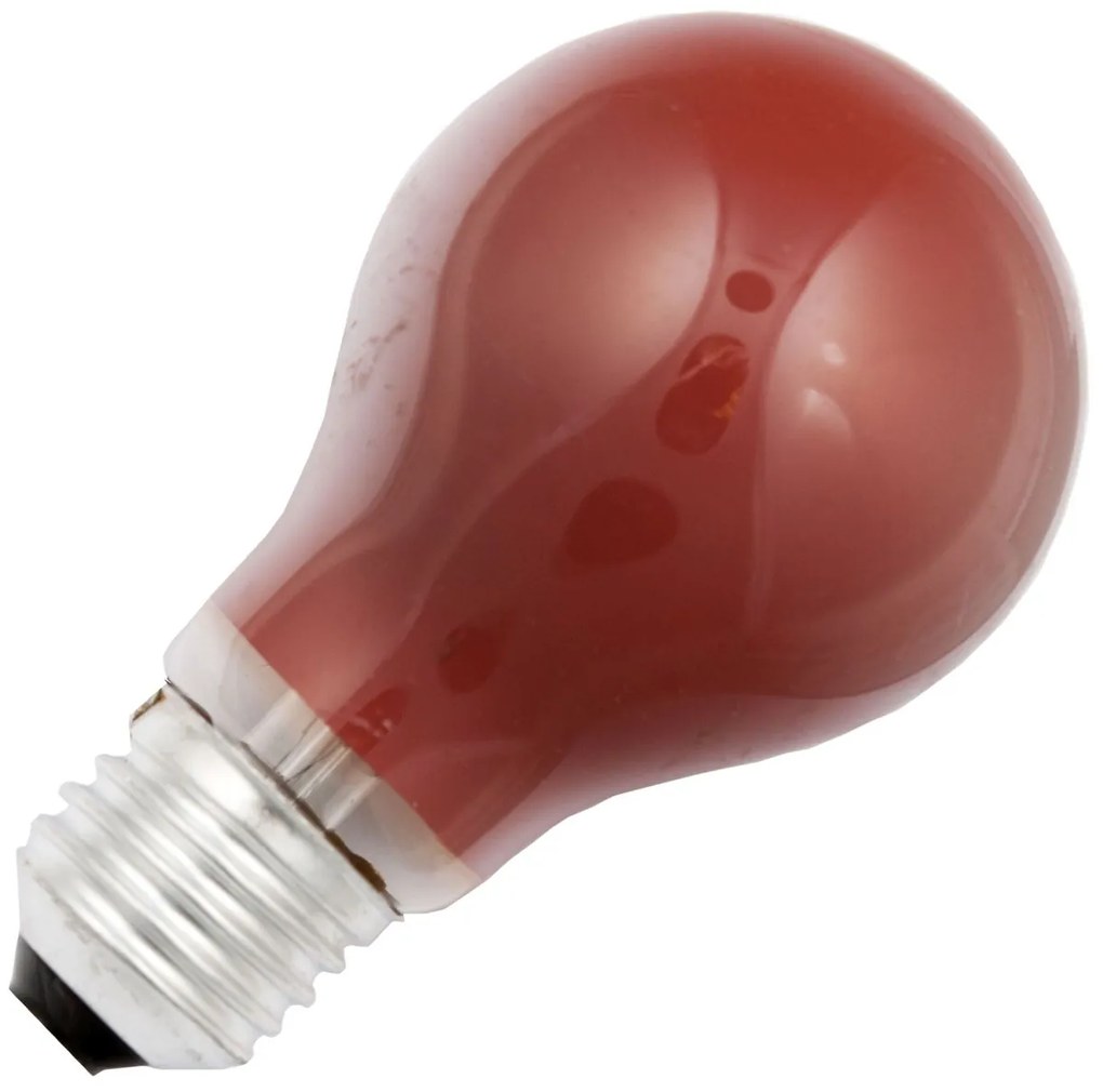 Lichtsnoer 20 Meter Inclusief 35x Rode Lamp 15W Feestverlichting