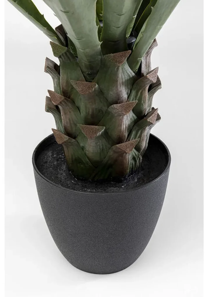 Kare Design Agave Kunstplant Agave