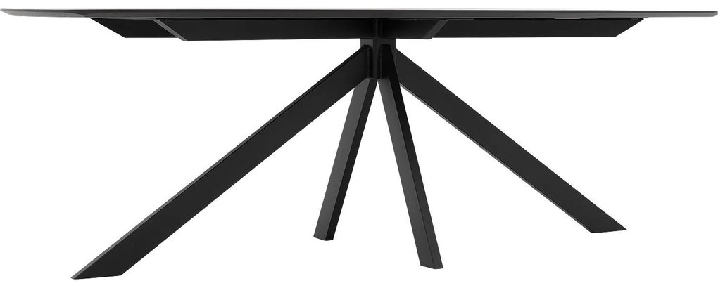 Goossens Excellent Eettafel Uniek, Semi ovaal 220 x 120 cm