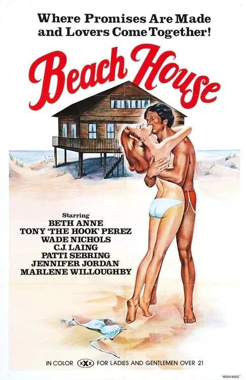 Ilustratie Beach House 1981