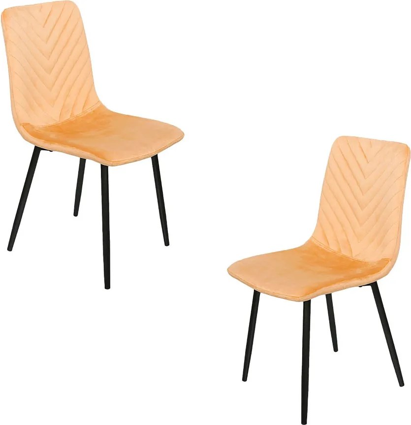 Pakket 2 Stoelen Guri