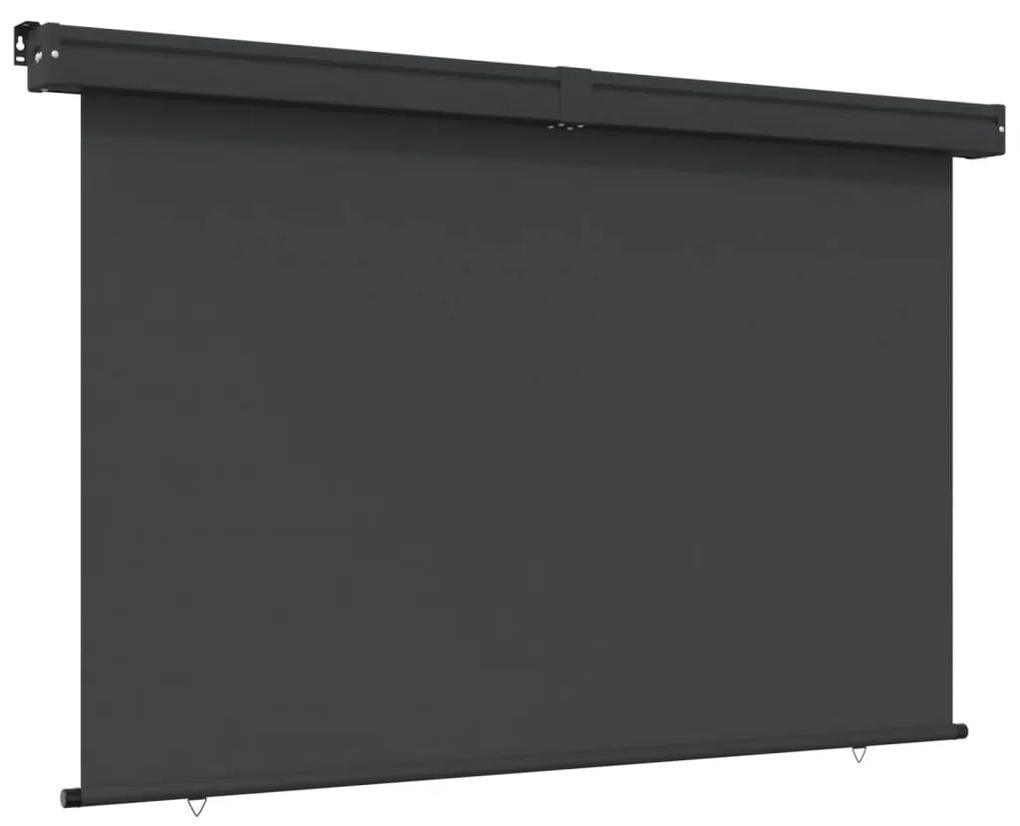 vidaXL Balkonscherm 170x250 cm zwart