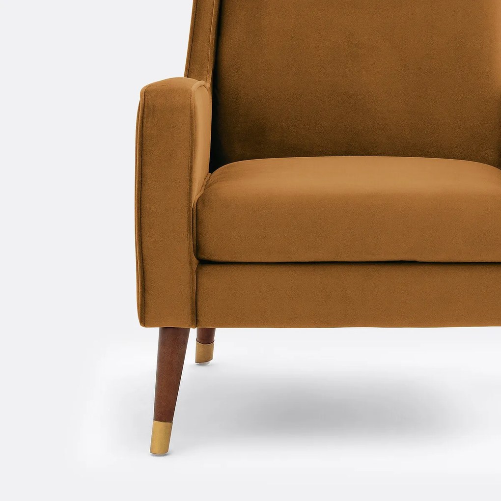 Fauteuil in fluweel, (Y)