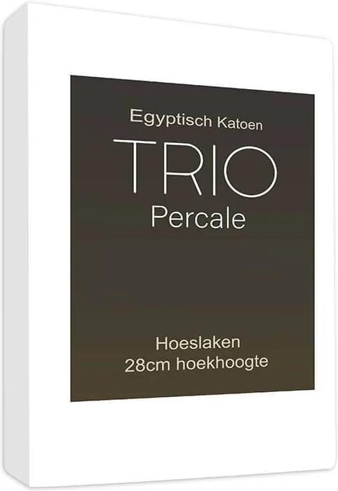 Sleepy Trio Hoeslaken Egyptisch Katoen - Wit 140 x 200