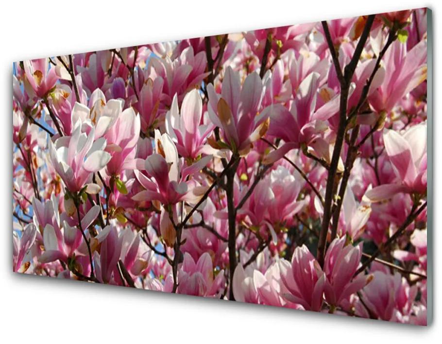 Plexiglas schilderij Branches bloemen plant 100x50 cm