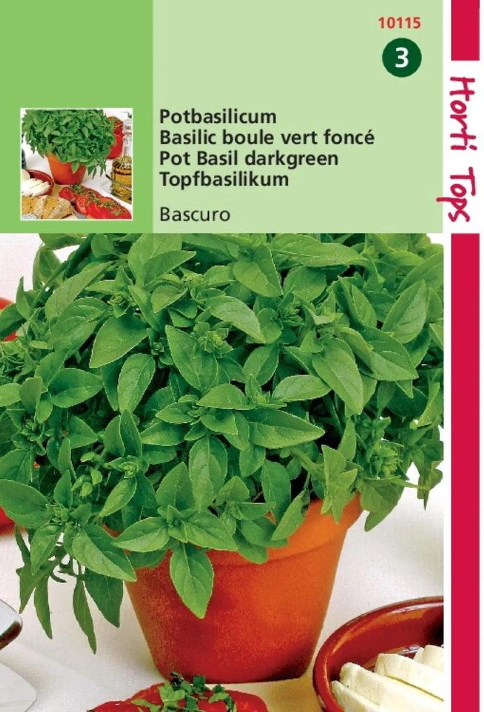 Pot Basilicum Bascuro Donkergroene