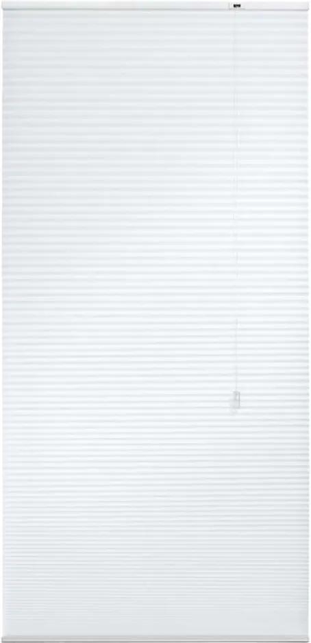 Plisségordijn duplistof lichtdoorlatend - wit - 60x180 cm - Leen Bakker