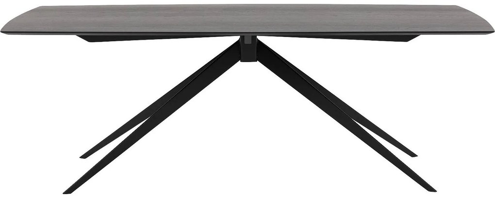 Goossens Excellent Eettafel Uniek, Semi rechthoekig 260 x 100 cm