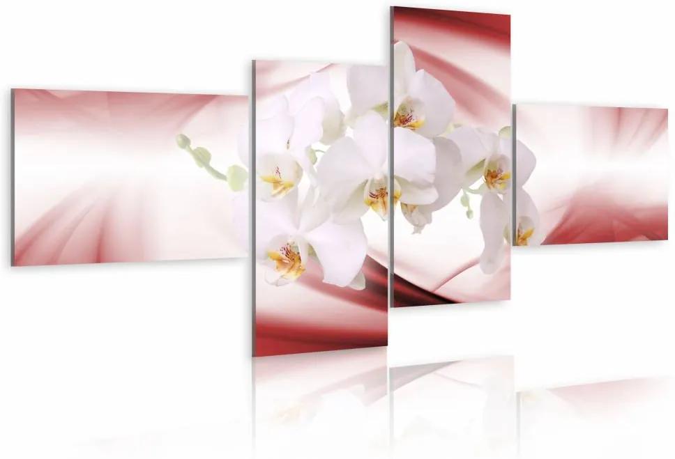 Schilderij - Orchideeën op zachte roze achtergrond , wit , 4 luik