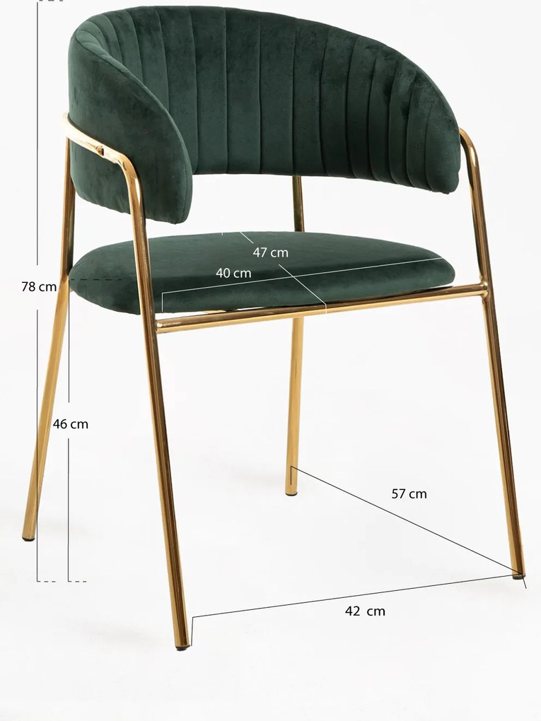 Moniel Foud Fluwelen Stoel