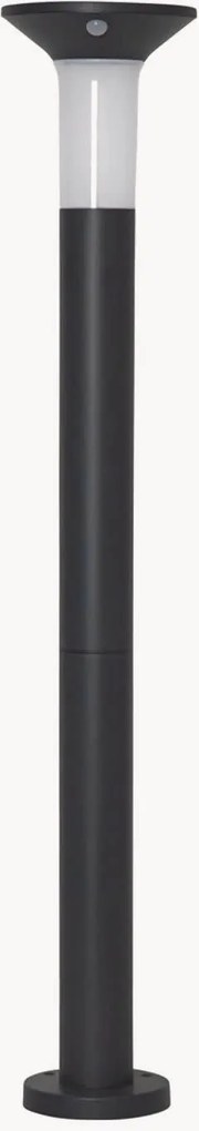 Solar LED-padverlichting Valta met bewegingssensor