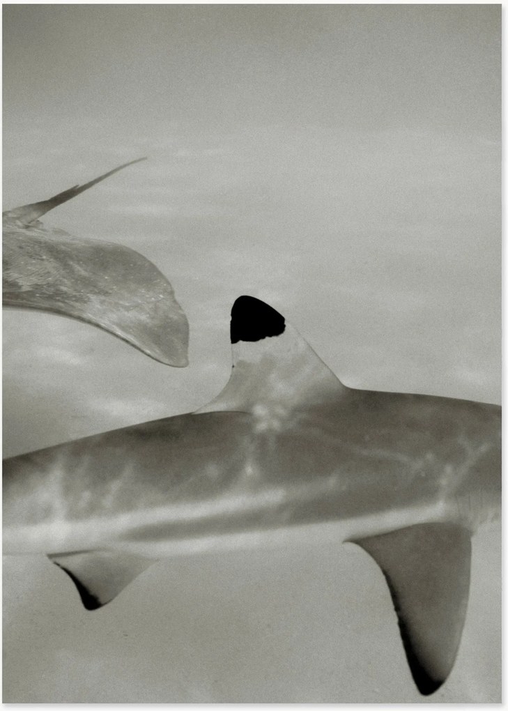 Digitale print Abyssal