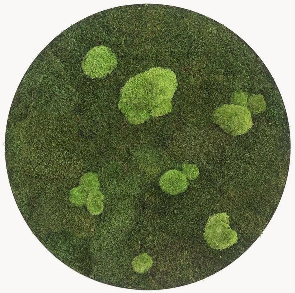 Handgemaakt decoratief mosobject Circle