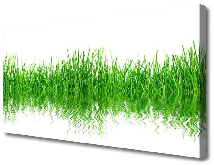 Print op doek Grass nature plant 100x50 cm