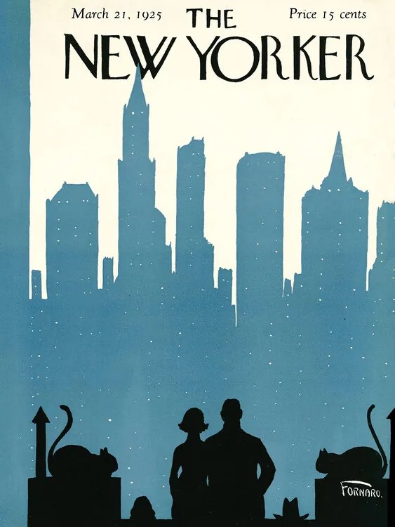 Ilustratie The NY Magazine Cover 402