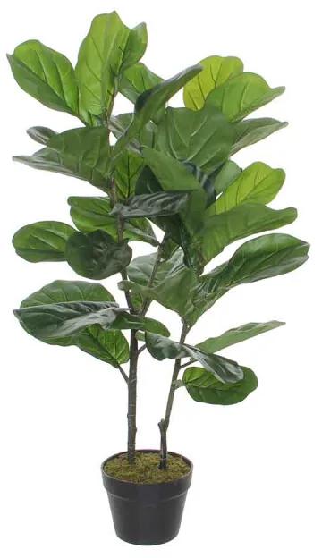 Ficus lyrata in plastic pot maat in cm: 100 x 60