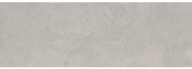 Baldocer Ceramica Delf wandtegel - 33.3x100cm - 10.5mm - Rechthoek - gerectificeerd - Betonlook - Grijs mat SW07311675-2