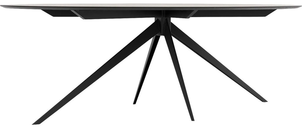 Goossens Excellent Eettafel Uniek, Ovaal 260 x 120 cm