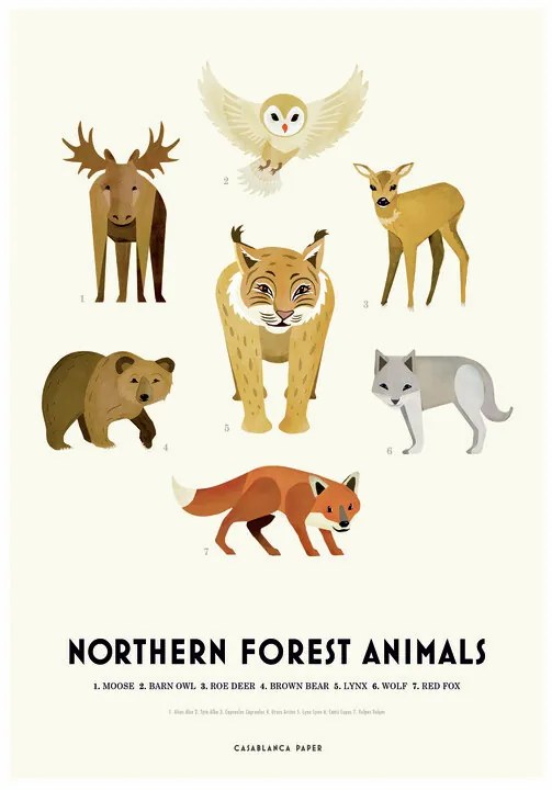 Ilustratie Northern Forest Animals, Erik Wintzell