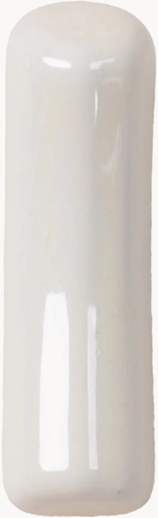 Wandhaak Fossil