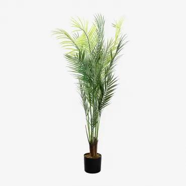 Decoratieve kunstplant palmera Pigmea Style 110 cm ↑110 cm - Sklum