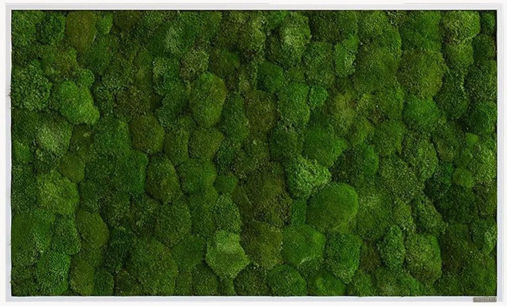 Handgemaakt bolmos wanddecoratie Forest, ingelijst