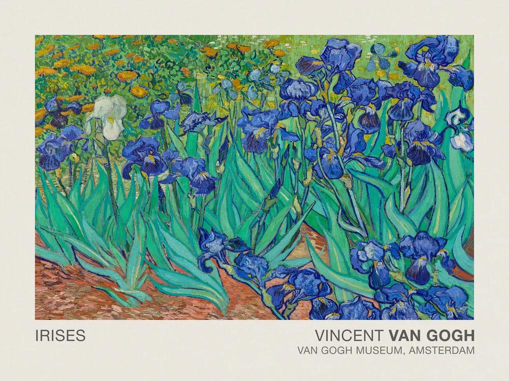 Kunstdruk Irises (Museum Vintage Floral / Flower Landscape) - Vincent van Gogh, (40 x 30 cm)