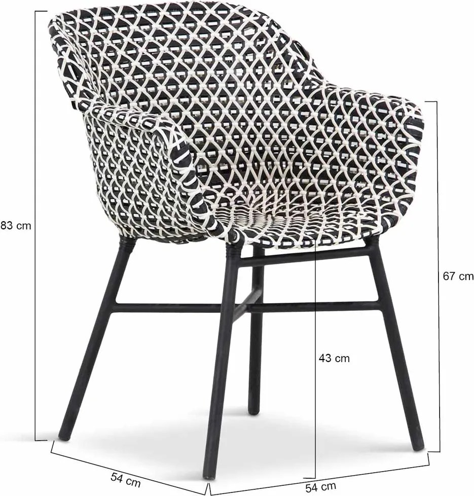 Delphine Dining Chair (without cushion) Nouveaux rotin white-black