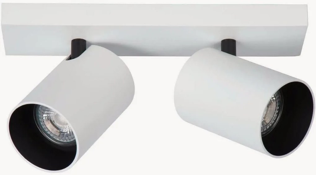 Plafondspot Nuo 2