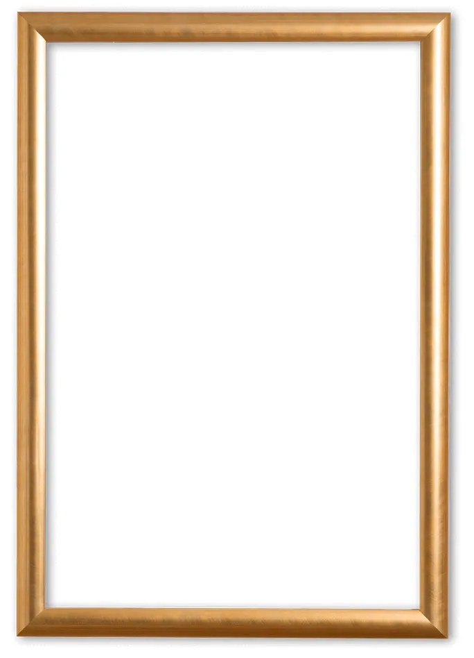 Klassieke Lijst 40x60 cm Goud - Ava